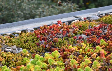 the cost of Rookley green roof installation