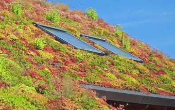 Rookley living roof systems
